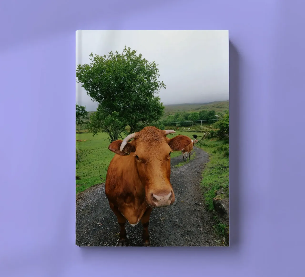 Meet Olga notebook by The Wild Creative Studio