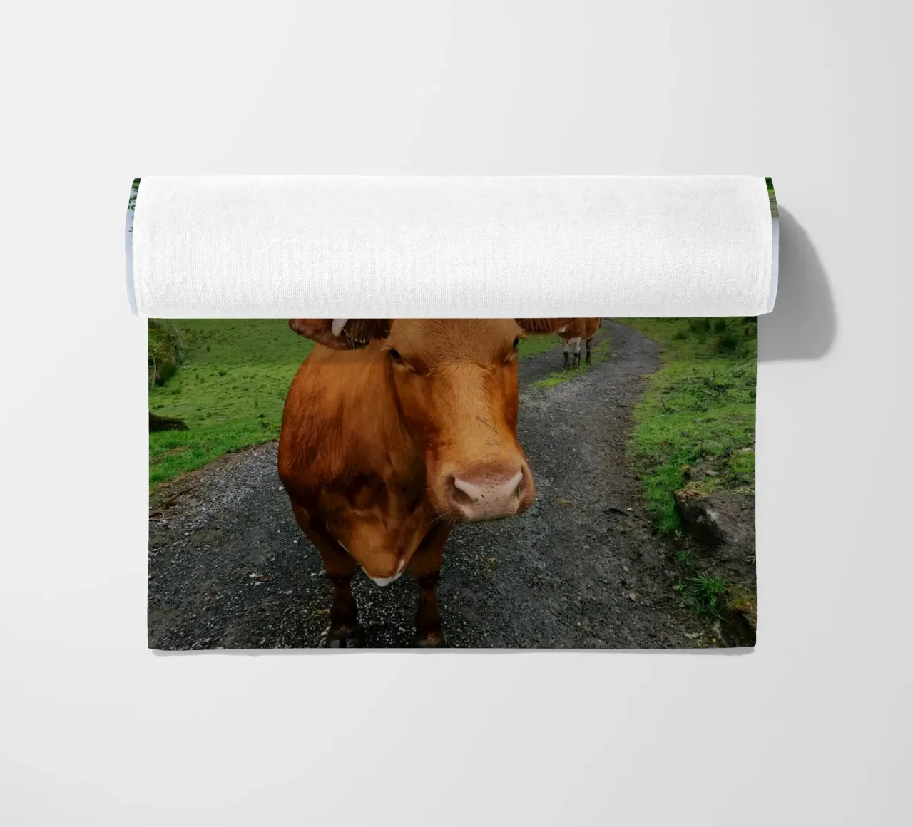 Meet Olga beach towel by The Wild Creative Studio