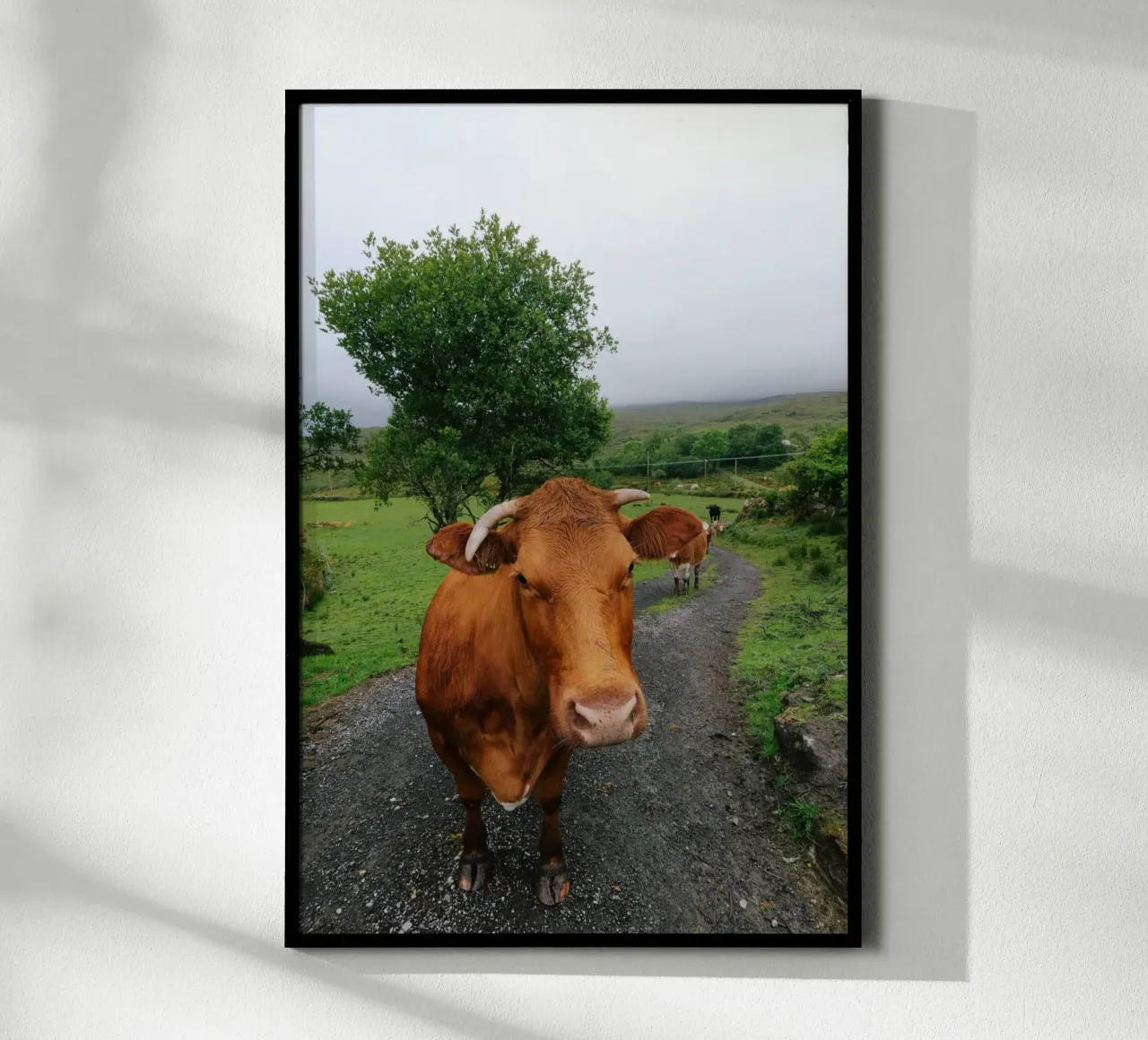 Meet Olga poster by The Wild Creative Studio