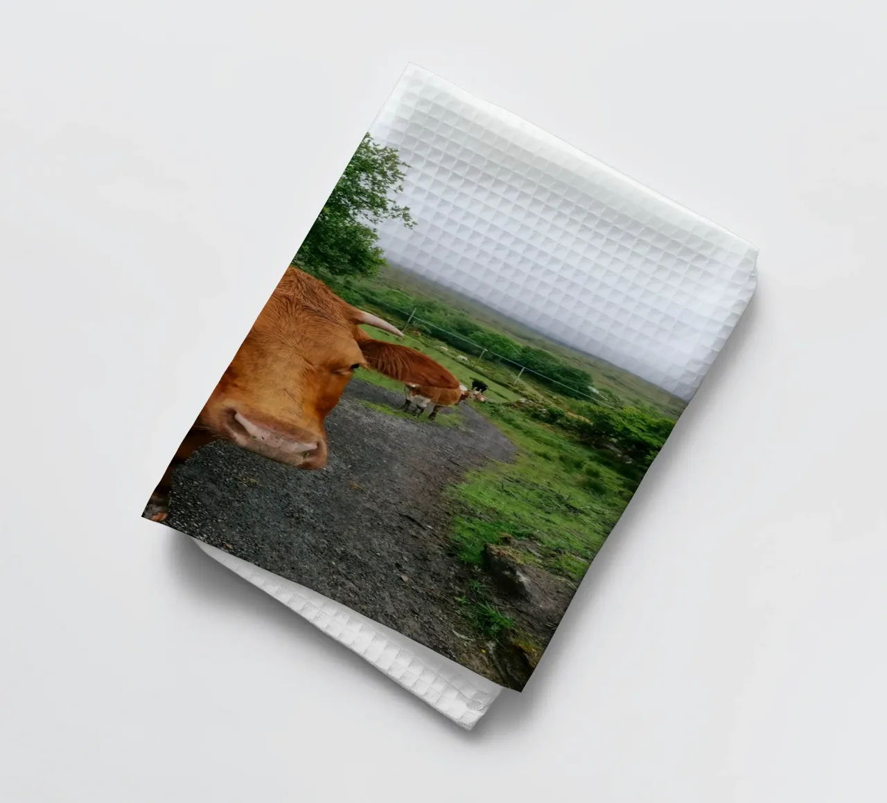 Incontrare Olga canovaccio da cucina da The Wild Creative Studio