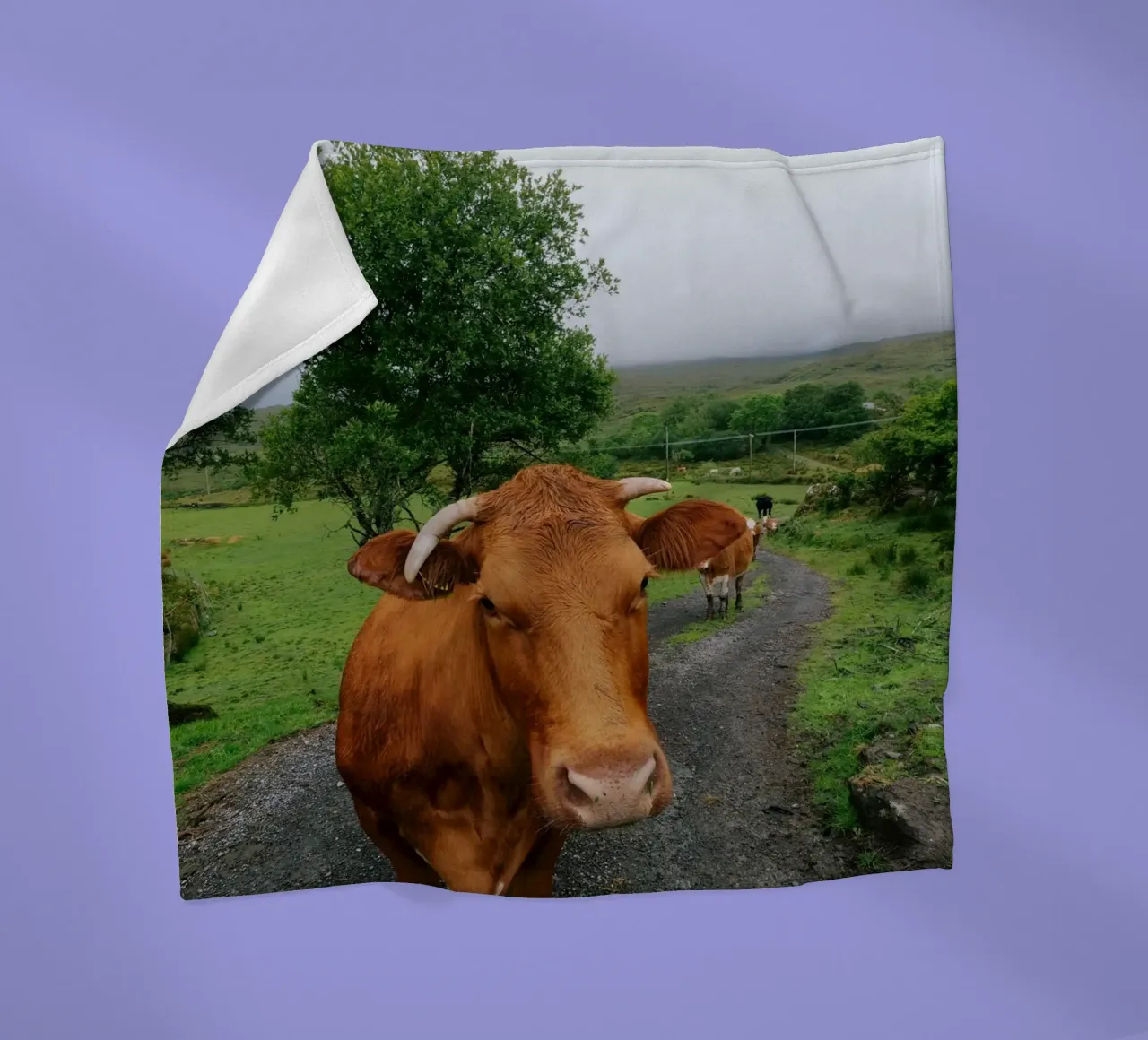 Meet Olga fleece blanket by The Wild Creative Studio