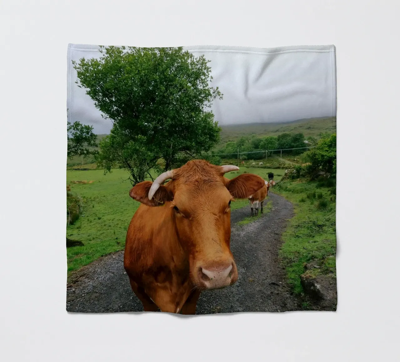 Meet Olga fleece blanket by The Wild Creative Studio