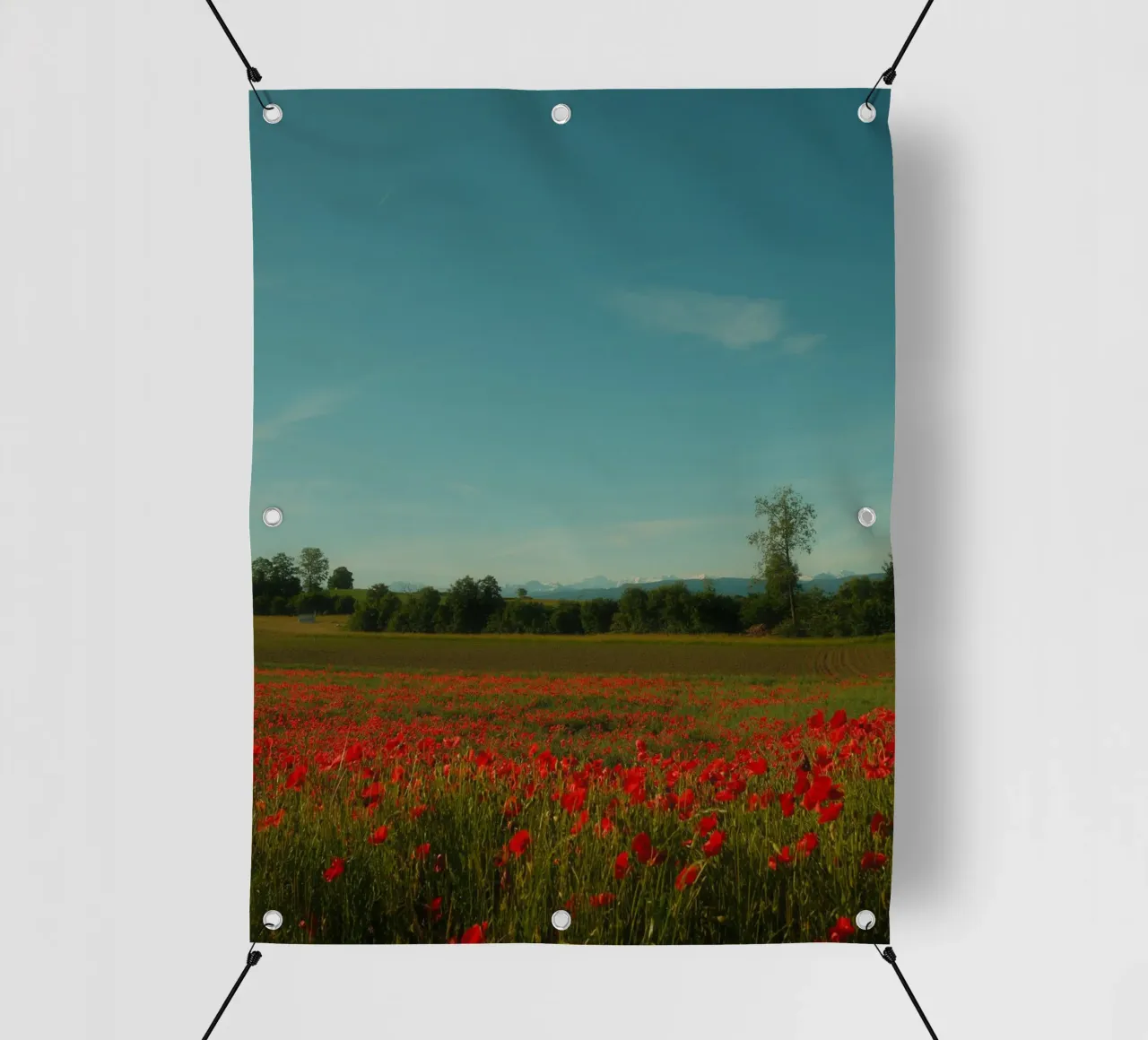 Swiss Poppy Field telo in pvc da FujiSwiss