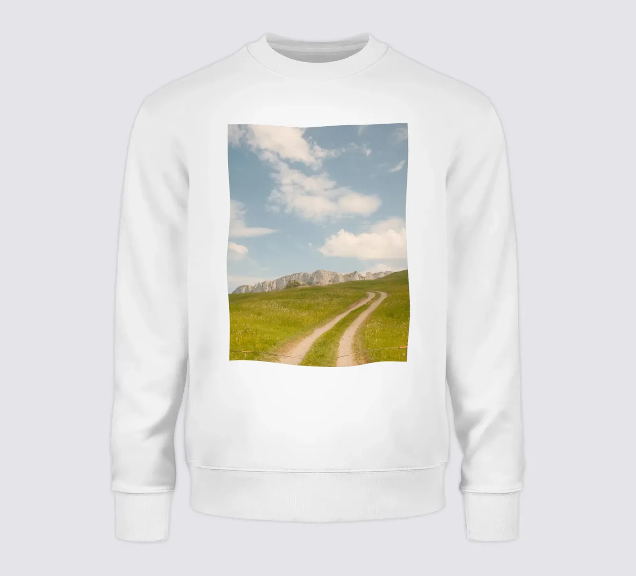 Alpine Meadow Path felpa da FujiSwiss