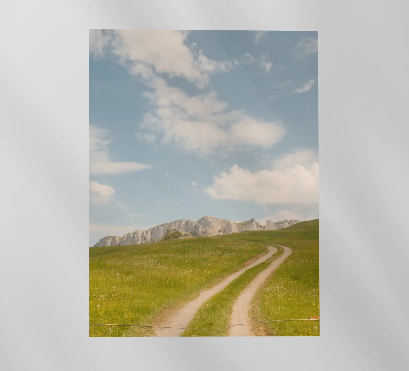 Alpine Meadow Path pellicola backlit da FujiSwiss
