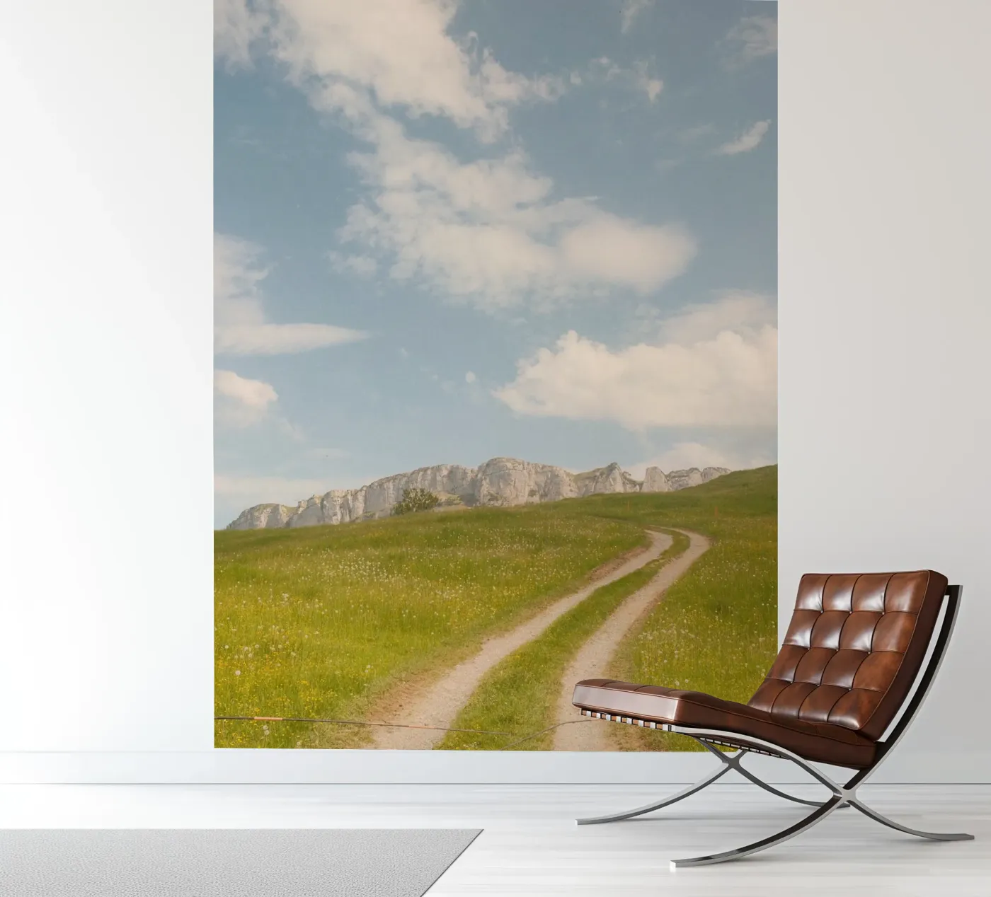 Alpine Meadow Path fotobehang van FujiSwiss