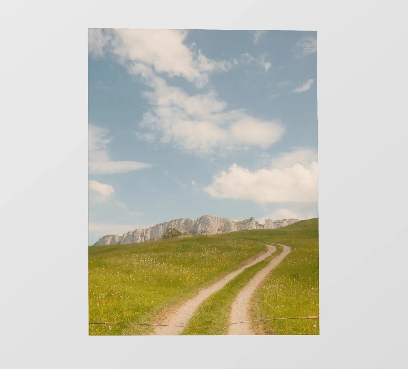 Alpine Meadow Path fotobehang van FujiSwiss