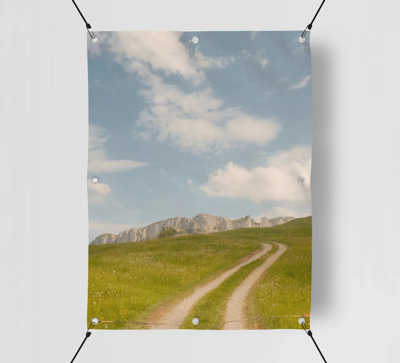 Alpine Meadow Path telo in pvc da FujiSwiss