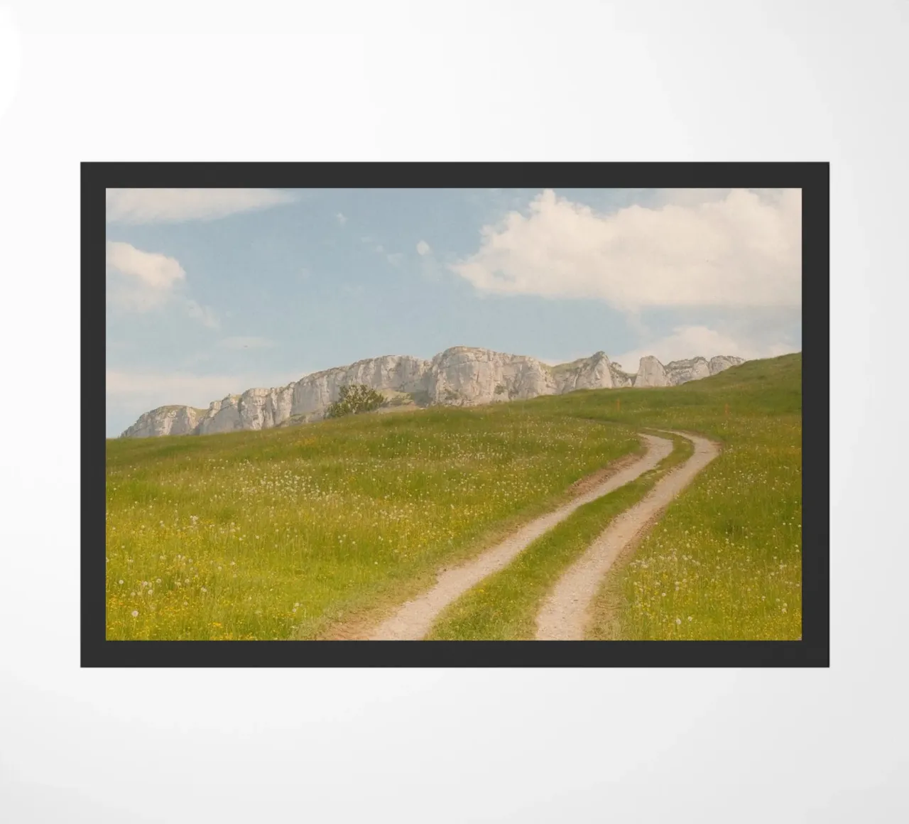 Alpine Meadow Path zerbino da FujiSwiss
