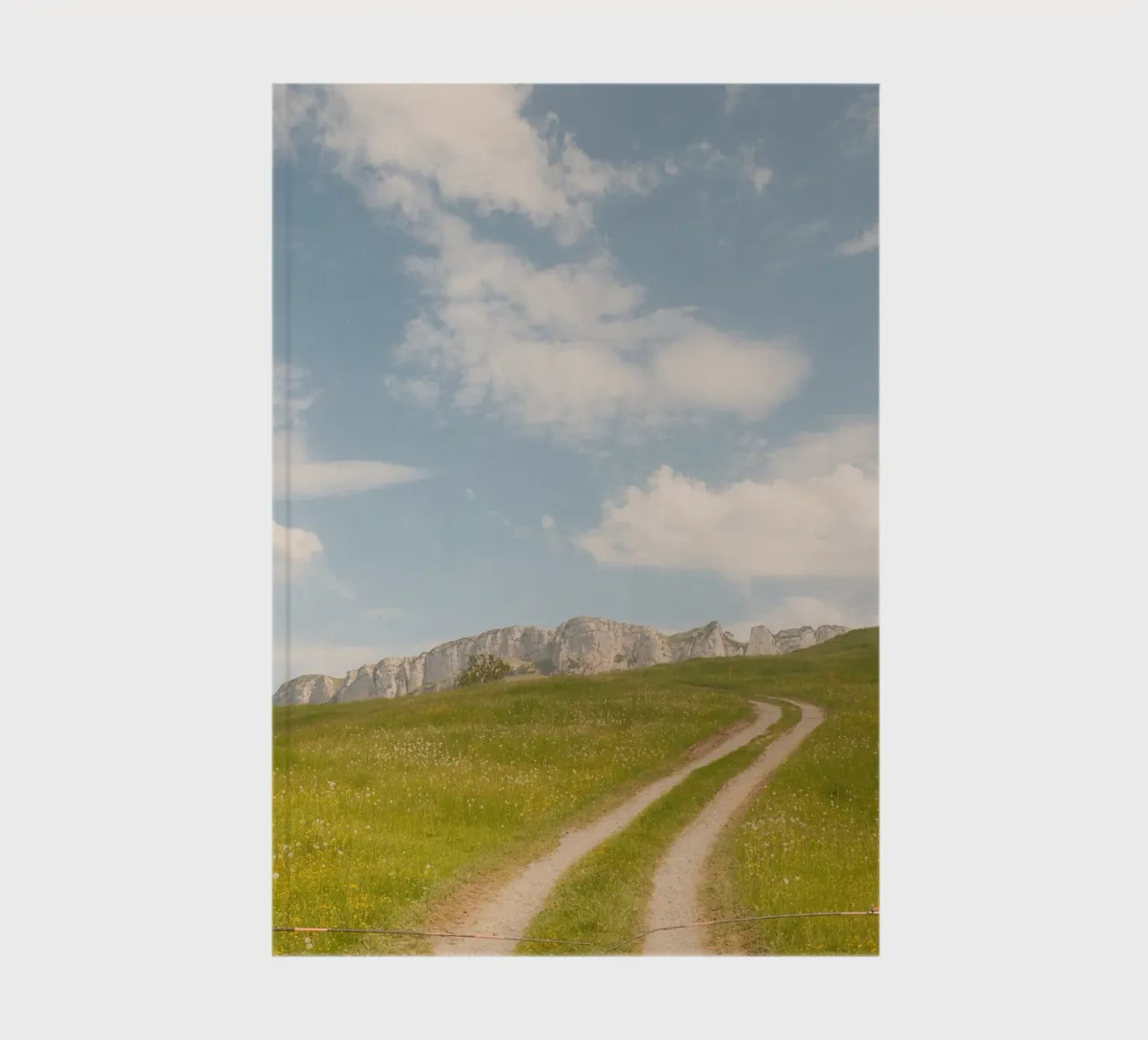 Alpine Meadow Path notebook by FujiSwiss