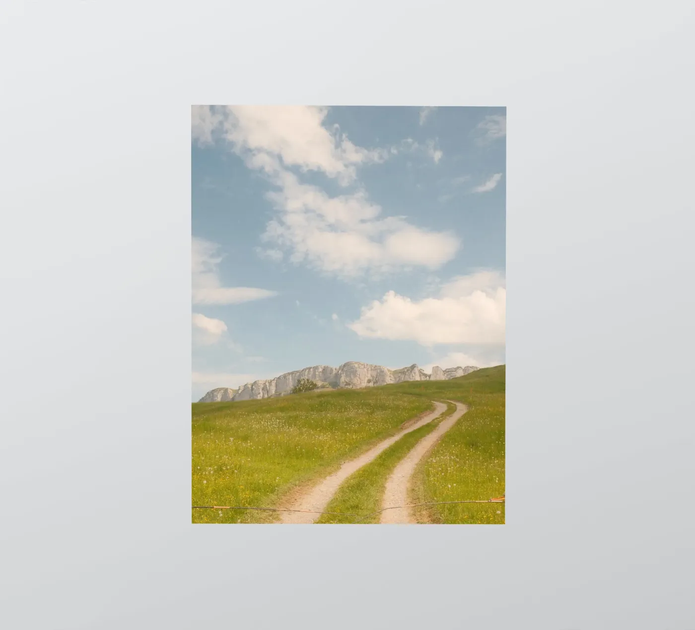 Alpine Meadow Path sticker by FujiSwiss