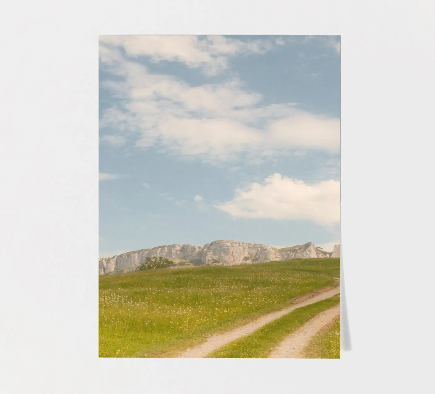 Alpine Meadow Path sticker sheet by FujiSwiss
