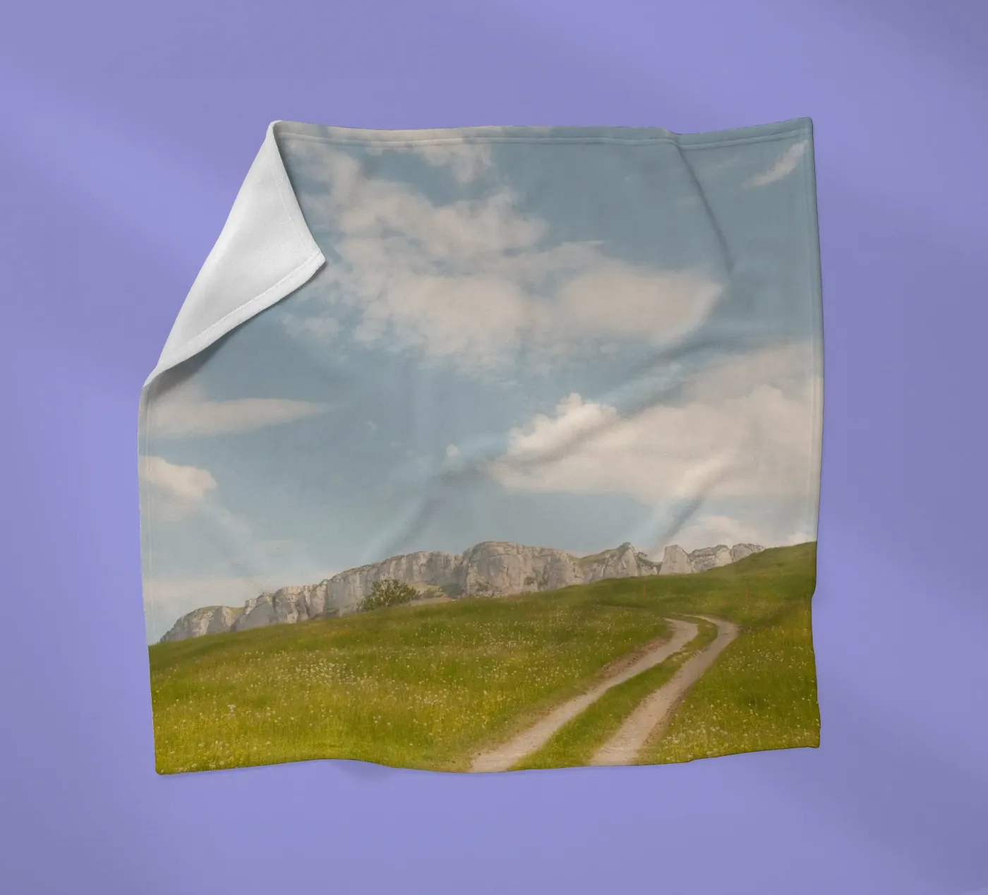Alpine Meadow Path Fleecedecke von FujiSwiss
