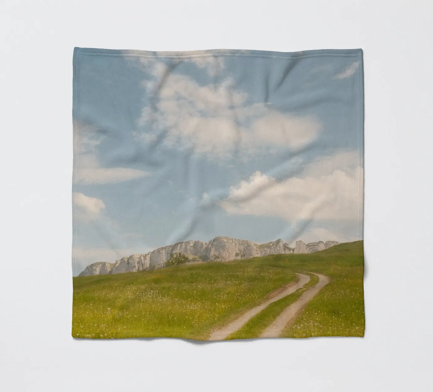 Alpine Meadow Path Fleecedecke von FujiSwiss