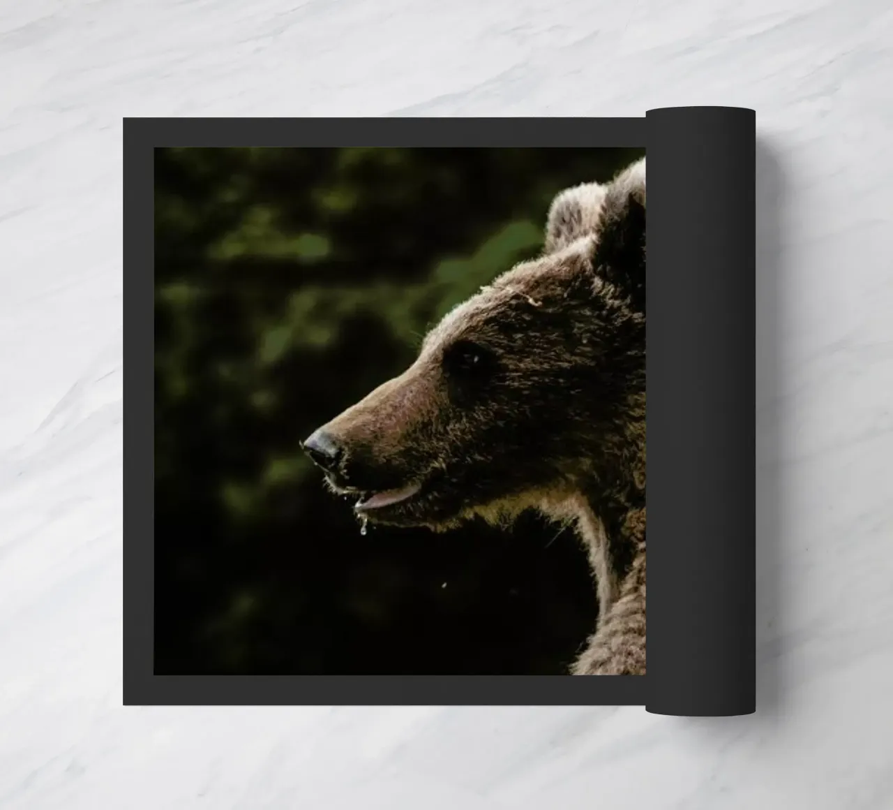 Smiling Bear by @szabo_ervin_edward zerbino da EyeEm Mobile GmbH