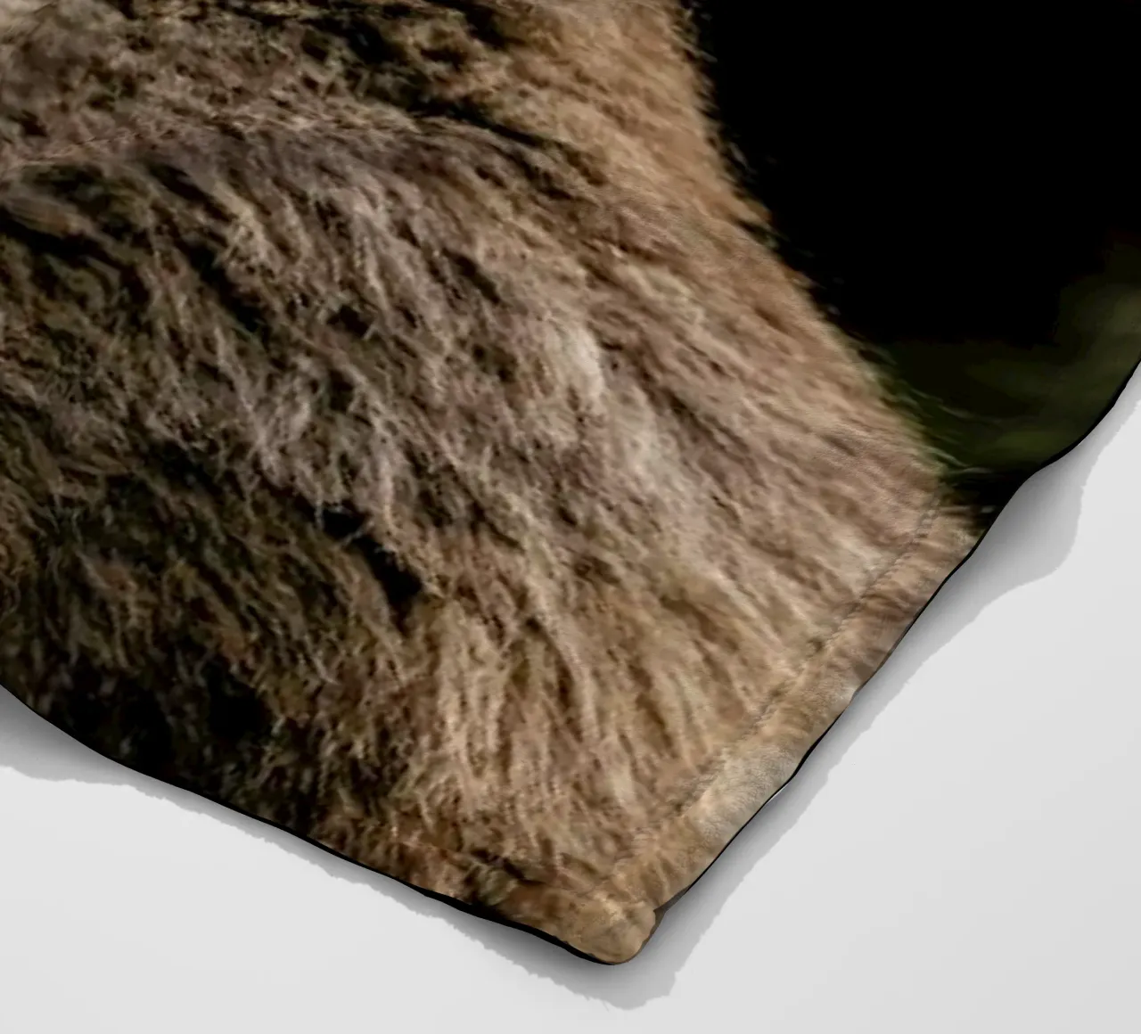 Smiling Bear by @szabo_ervin_edward coperta in pile da EyeEm Mobile GmbH