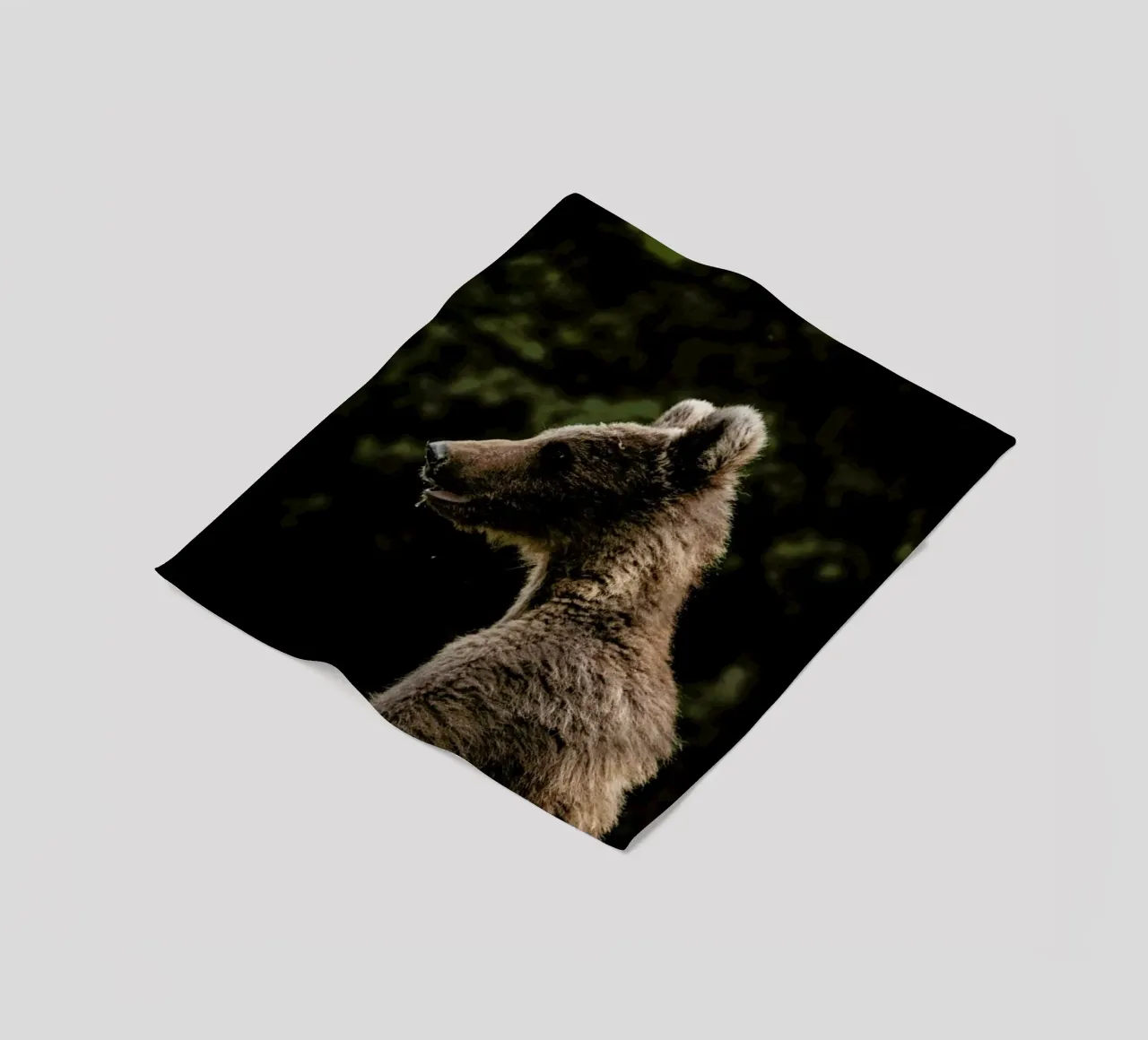 Smiling Bear by @szabo_ervin_edward coperta in pile da EyeEm Mobile GmbH