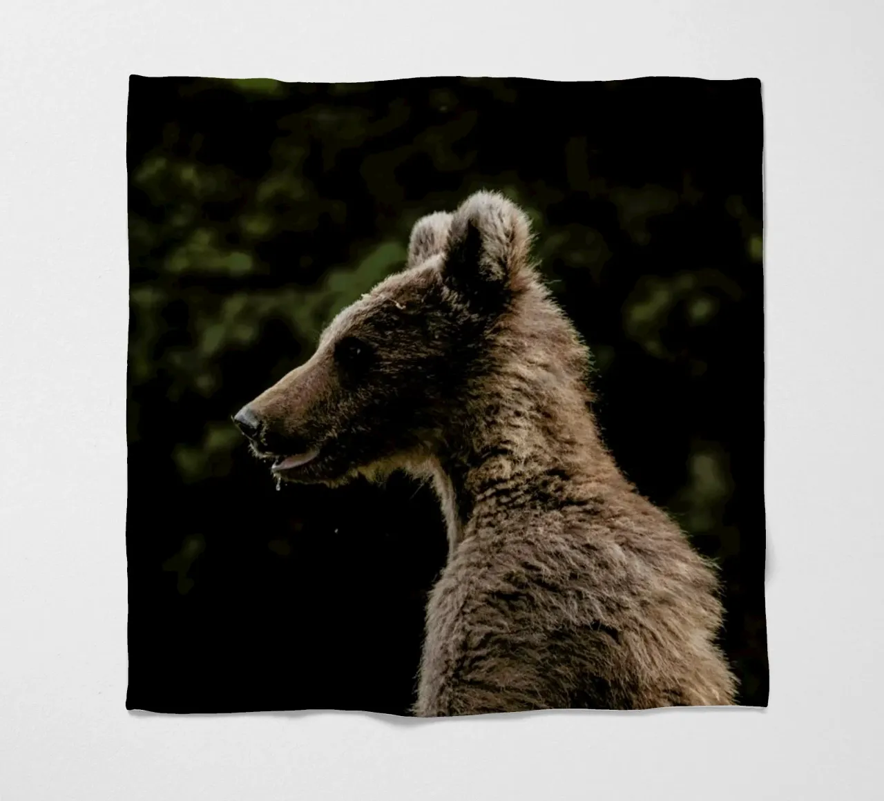 Smiling Bear by @szabo_ervin_edward coperta in pile da EyeEm Mobile GmbH