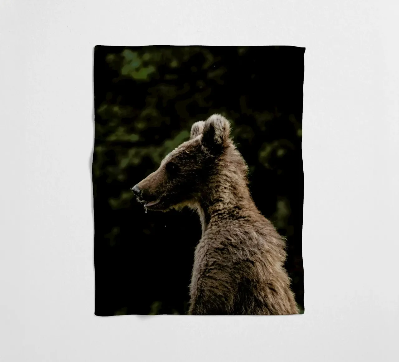 Smiling Bear by @szabo_ervin_edward coperta in pile da EyeEm Mobile GmbH