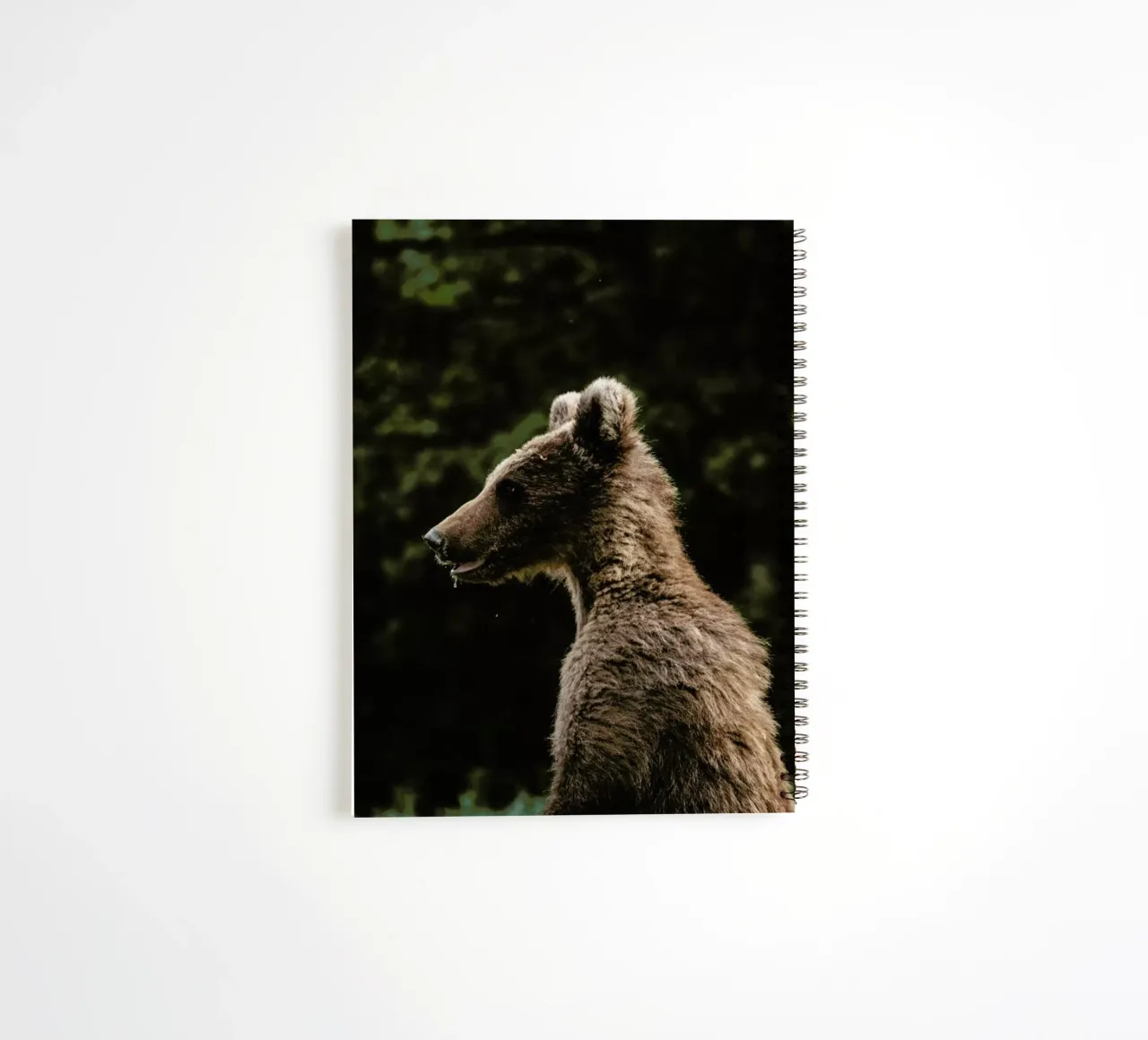 Smiling Bear by @szabo_ervin_edward spiral notebook by EyeEm Mobile GmbH