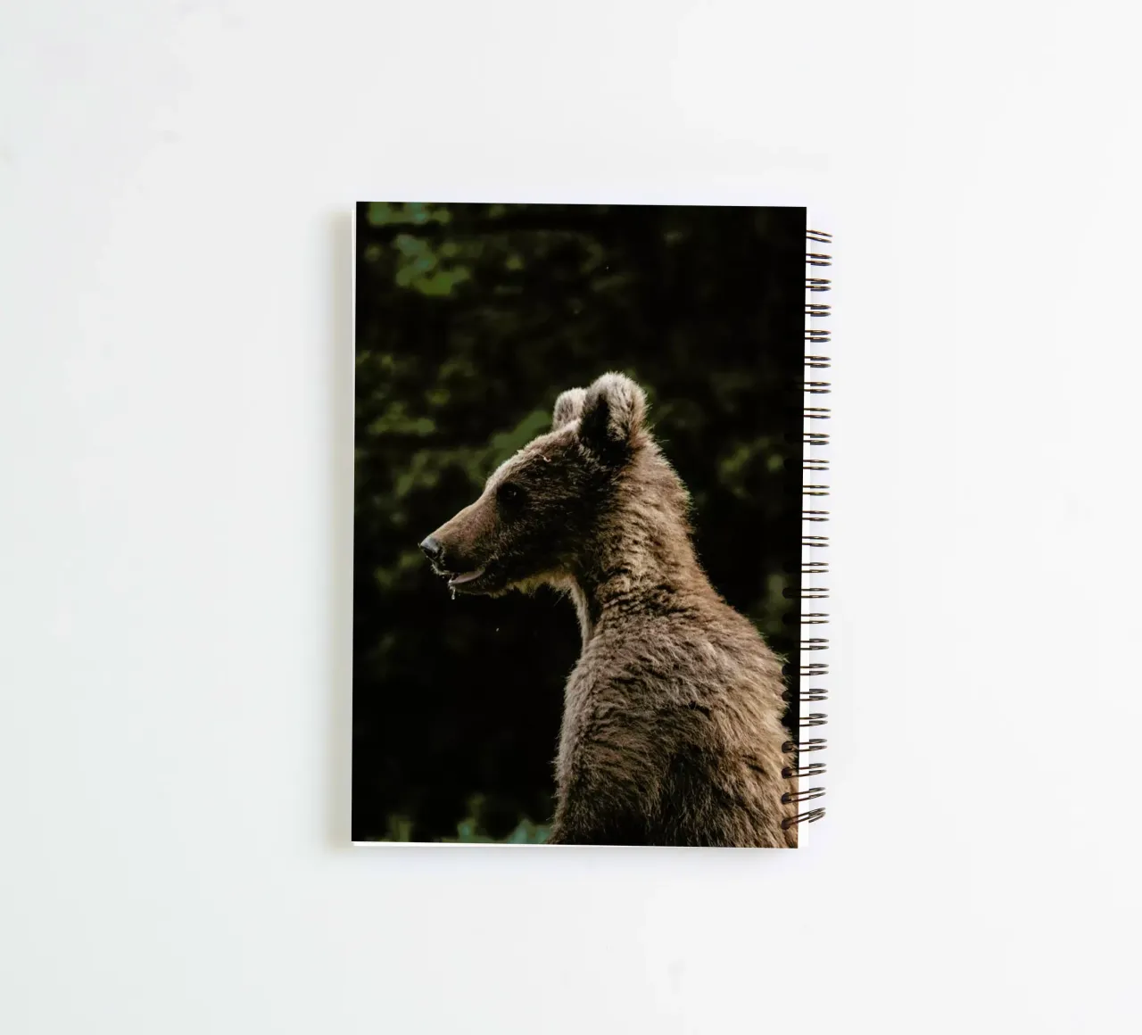 Smiling Bear by @szabo_ervin_edward spiral notebook by EyeEm Mobile GmbH