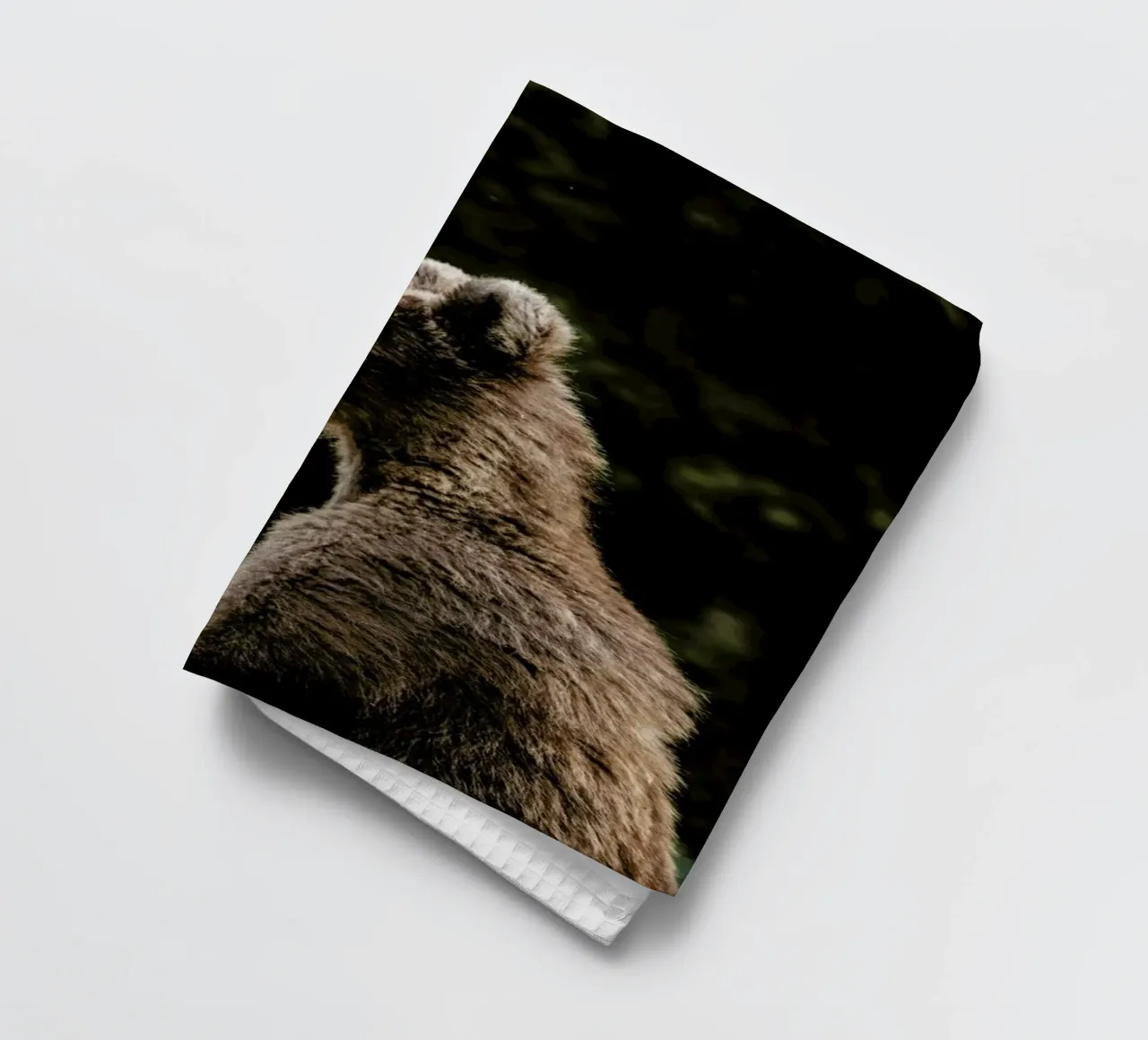 Smiling Bear by @szabo_ervin_edward canovaccio da cucina da EyeEm Mobile GmbH