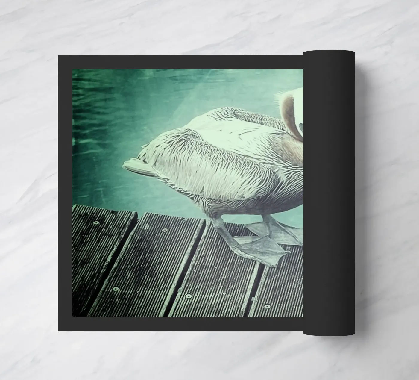 Freebird zerbino da Bitburg Studio