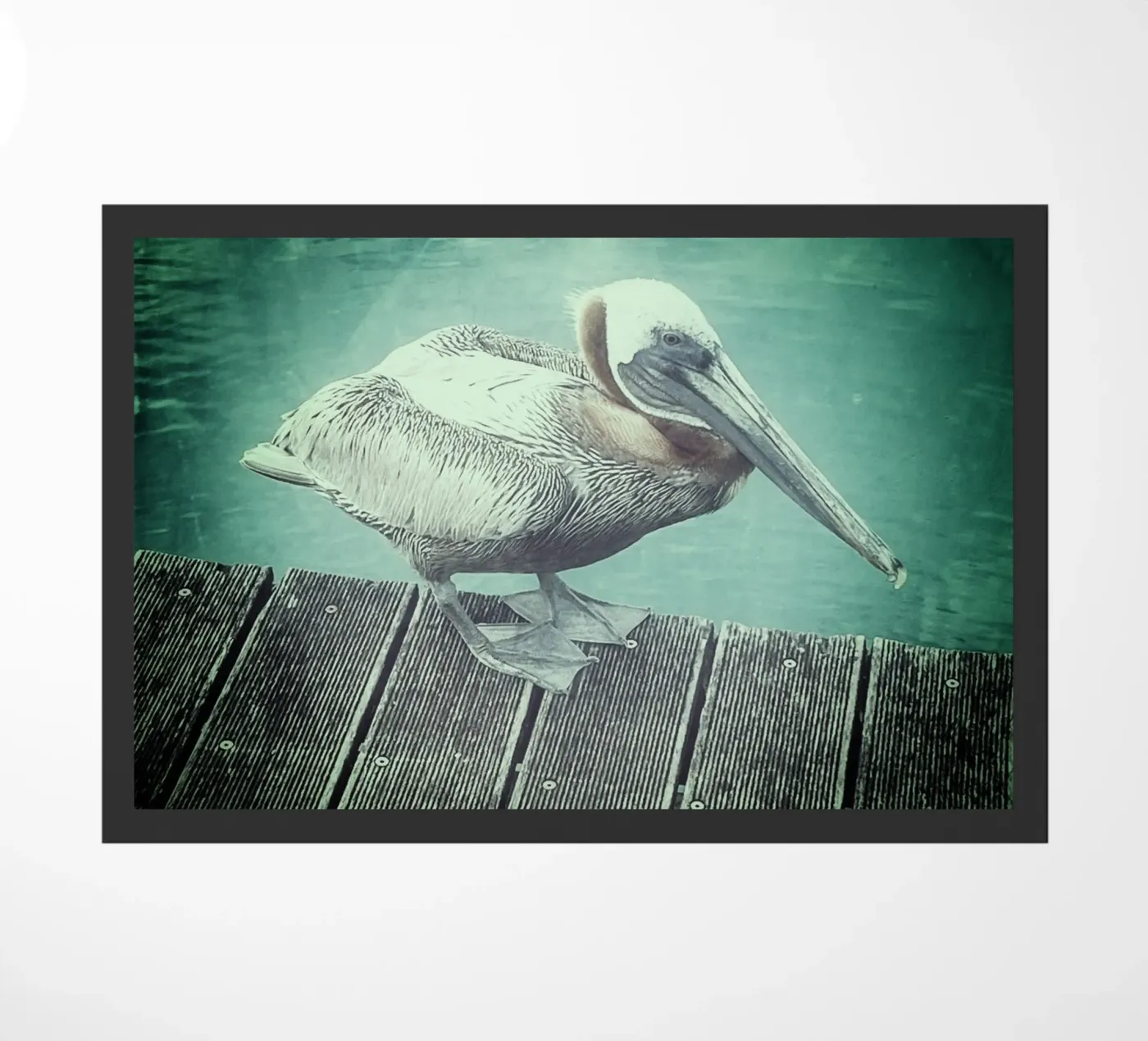 Freebird zerbino da Bitburg Studio