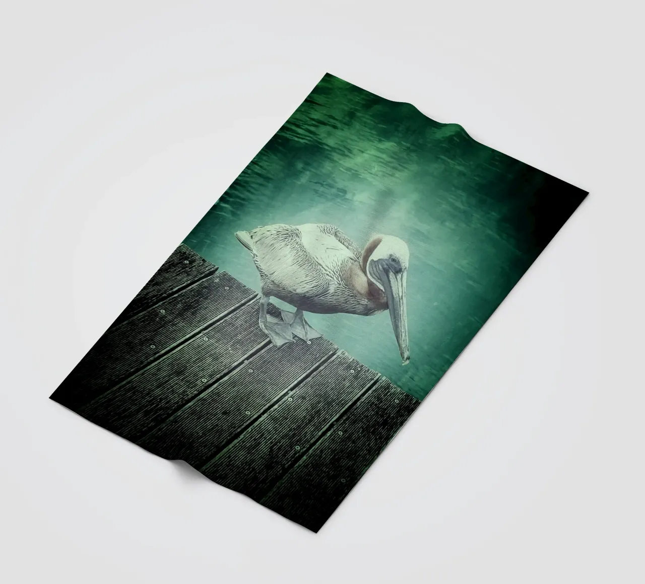 Freebird coperta in pile da Bitburg Studio