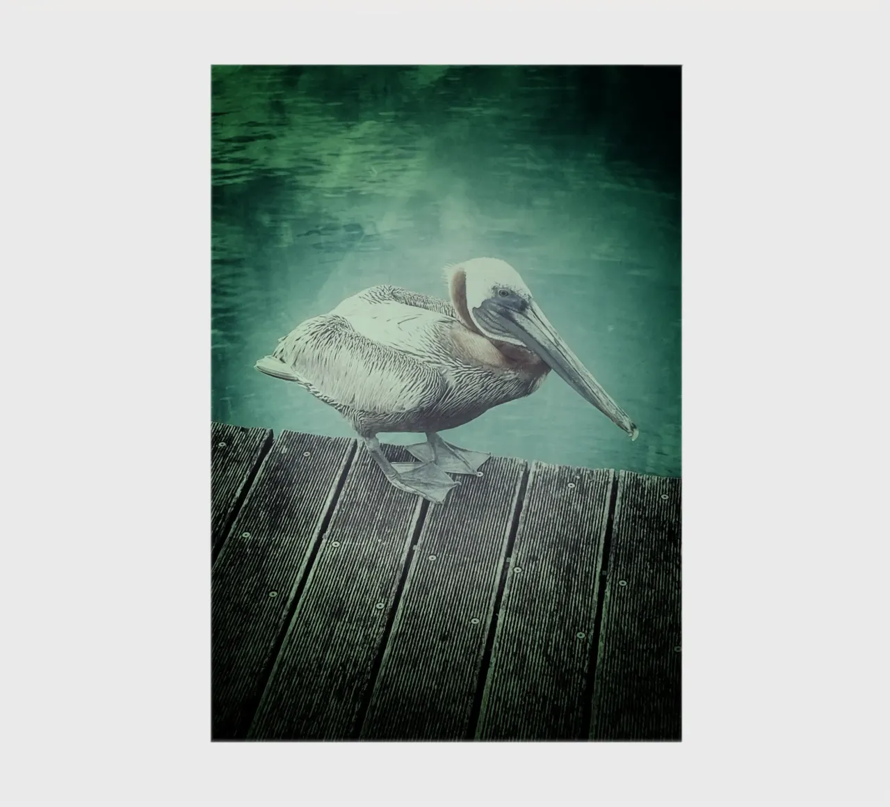 Freebird notebook by Bitburg Studio