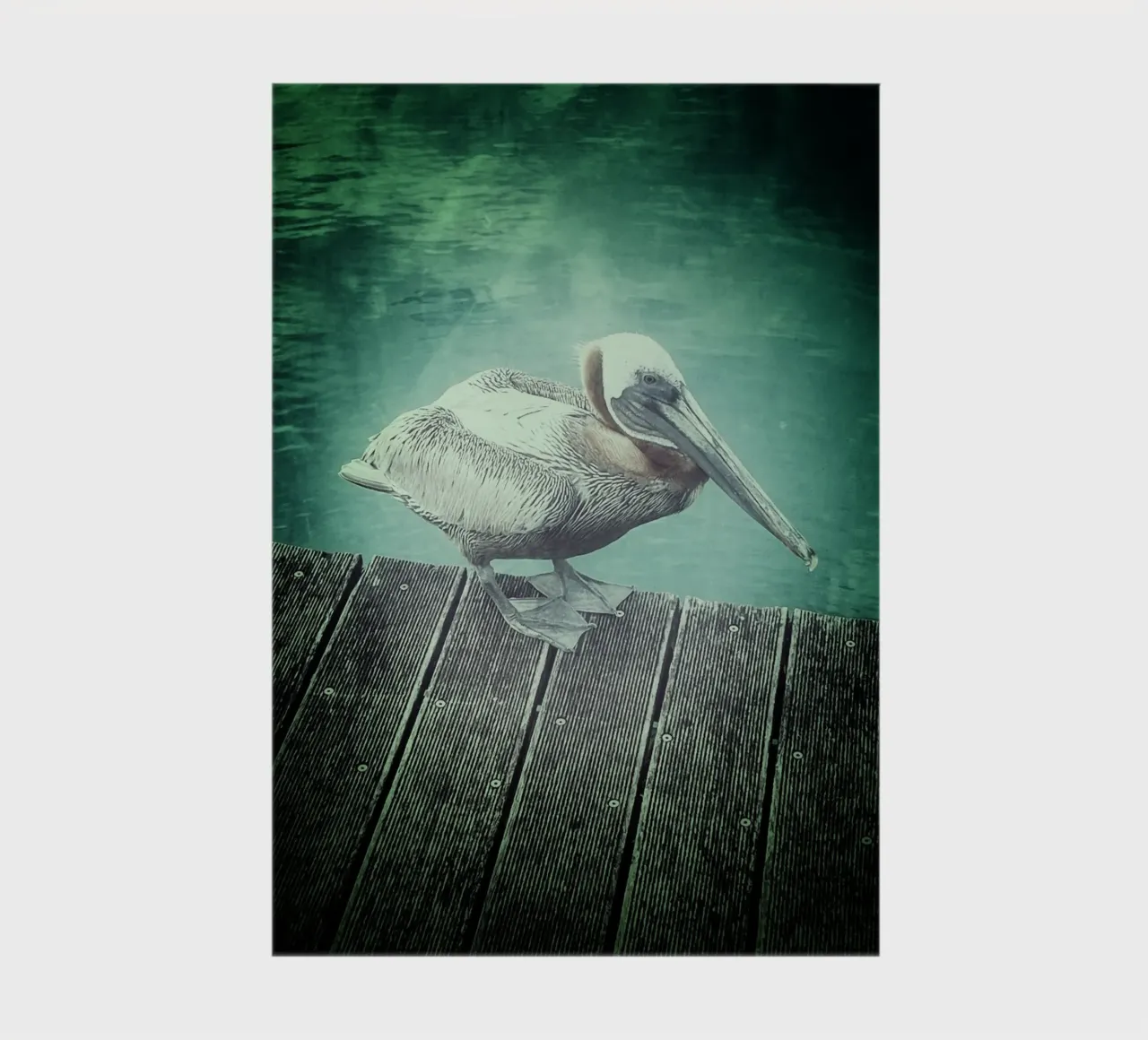 Freebird notebook by Bitburg Studio