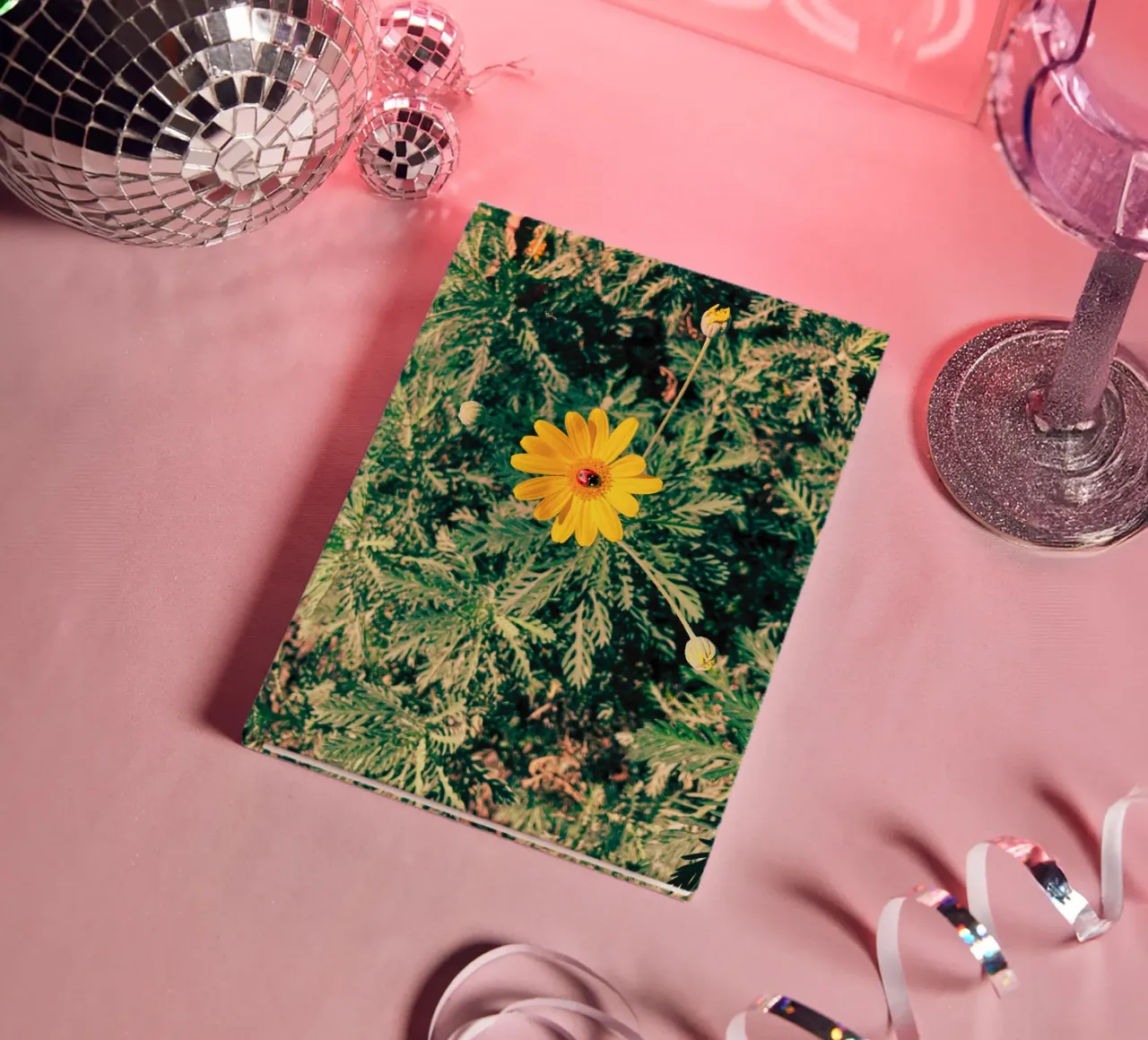 Euryops Pectinatus notebook by lipecobr