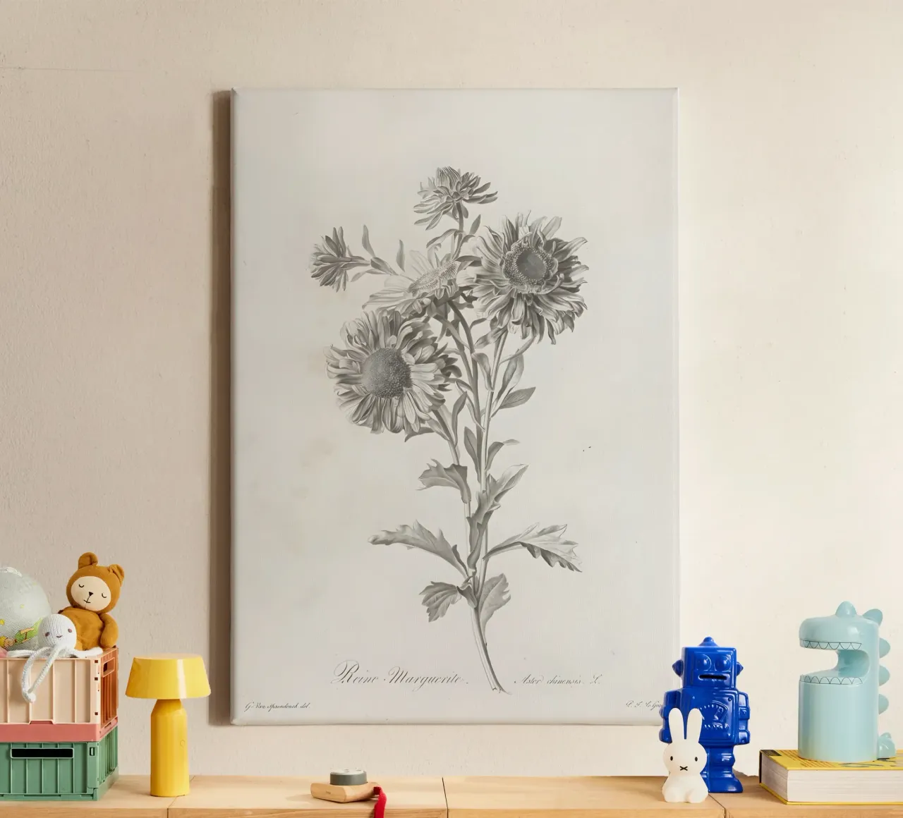 Reine Marguerite: Vintage botanische print van Aster, monochroom canvas met Baklijst van NorwesClub