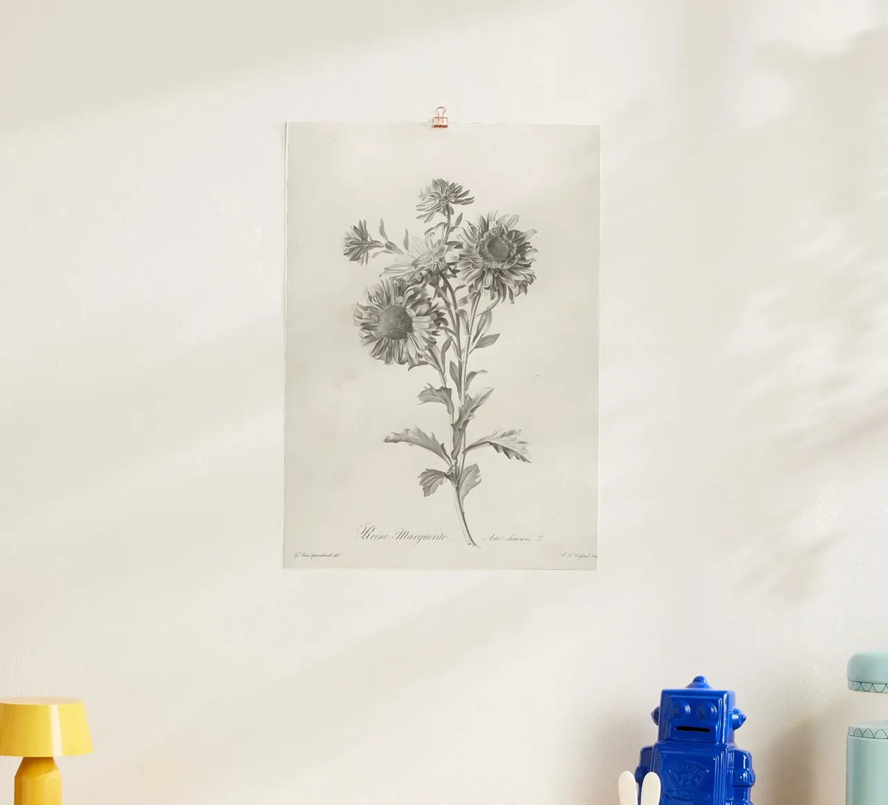 Reine Marguerite: Stampa botanica vintage di aster, monocromatica poster con telaio in plastica da NorwesClub