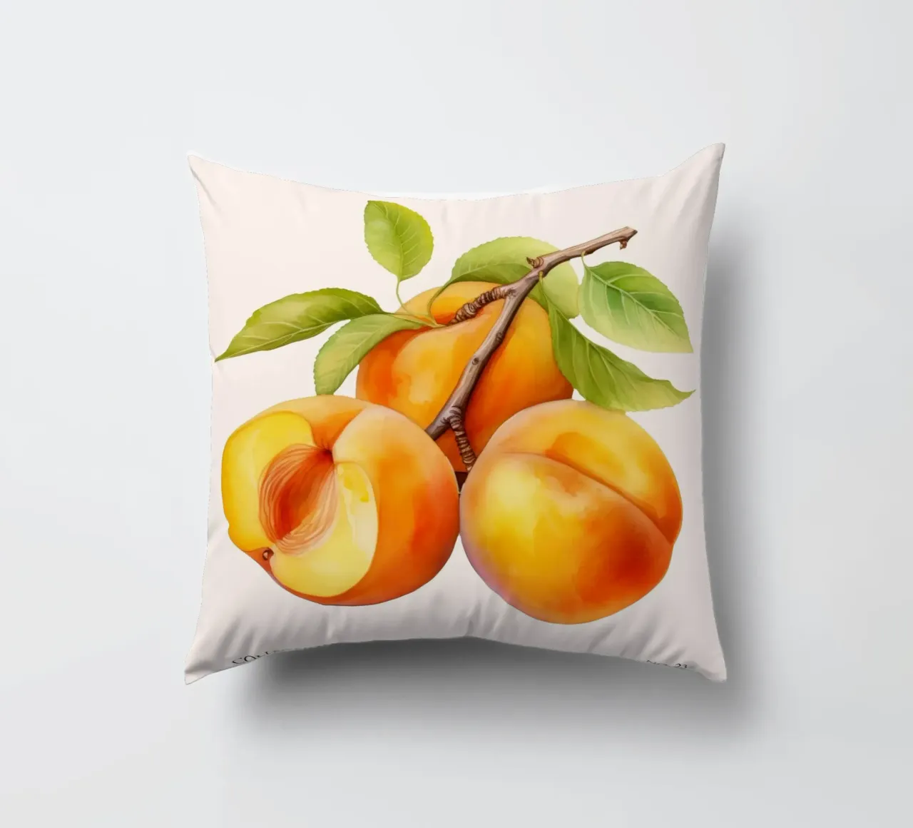 Poster del mercato della frutta di albicocca - Acquerello botanico - Kit cuscino da NorwesClub
