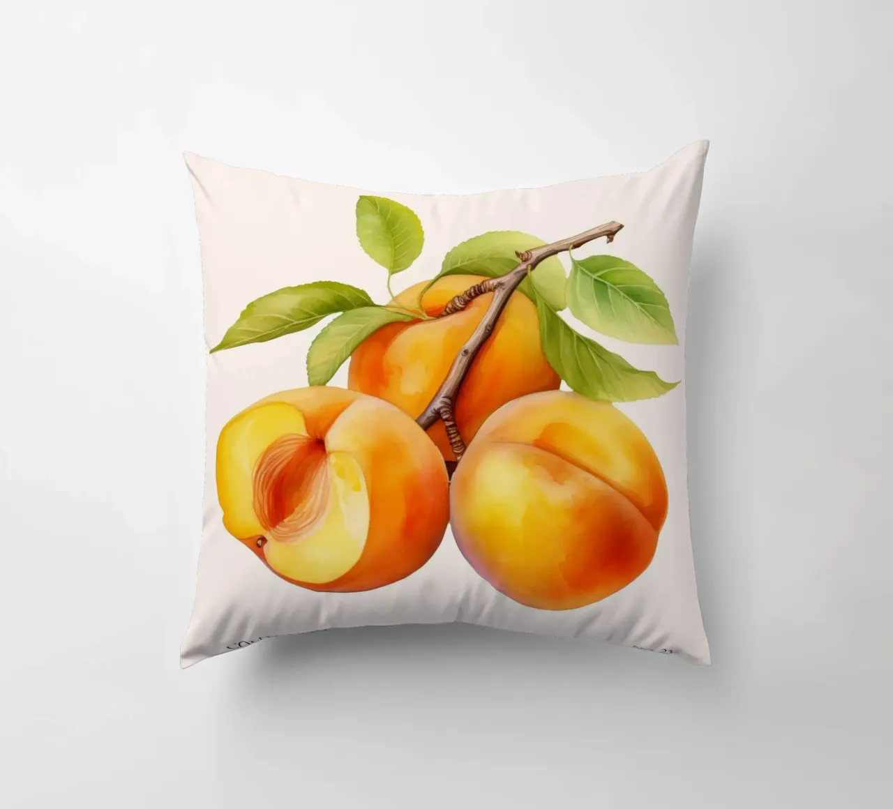 Poster del mercato della frutta di albicocca - Acquerello botanico - Kit cuscino da NorwesClub