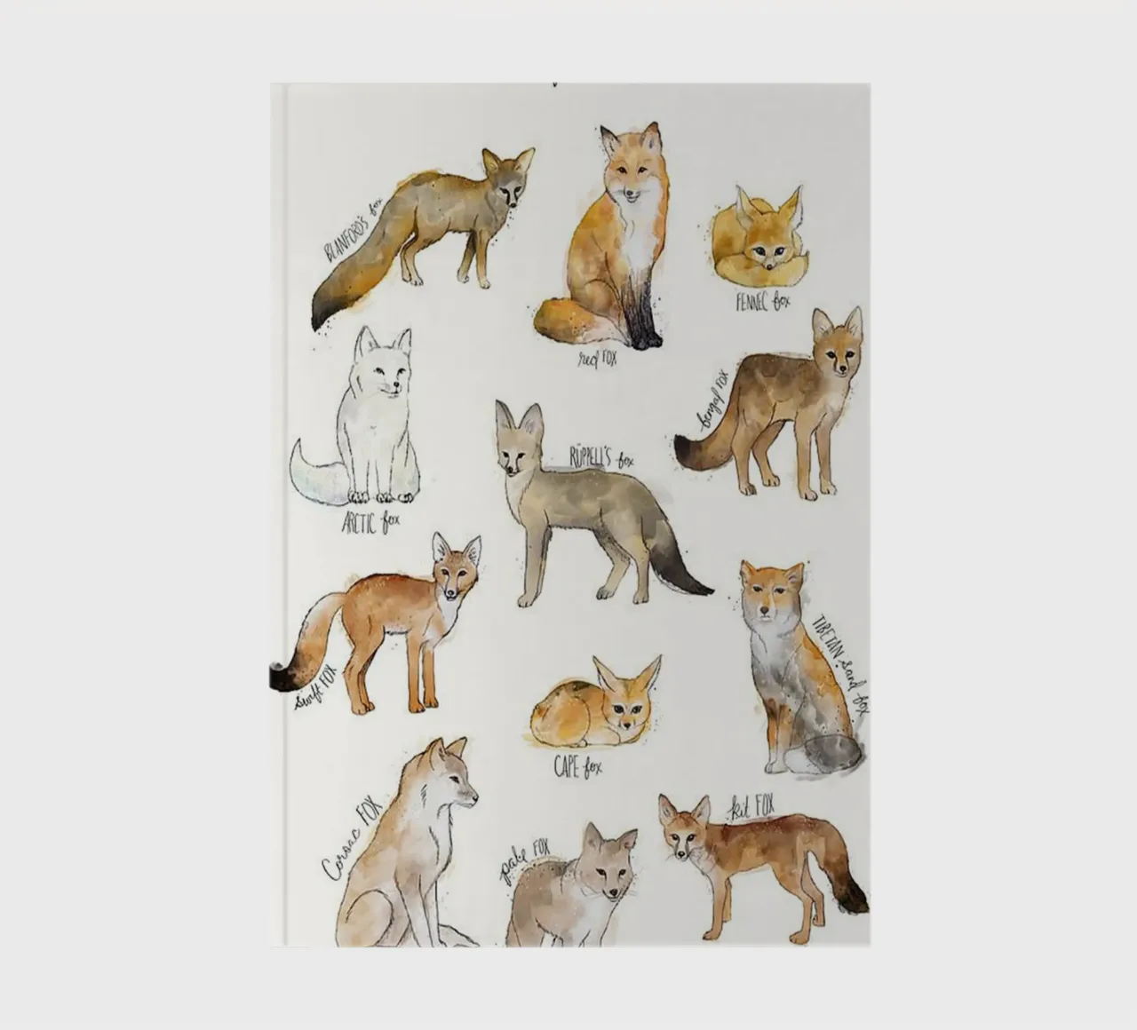 renards illustration animale impression d'art amy hamilton carnet de notes de kbm store