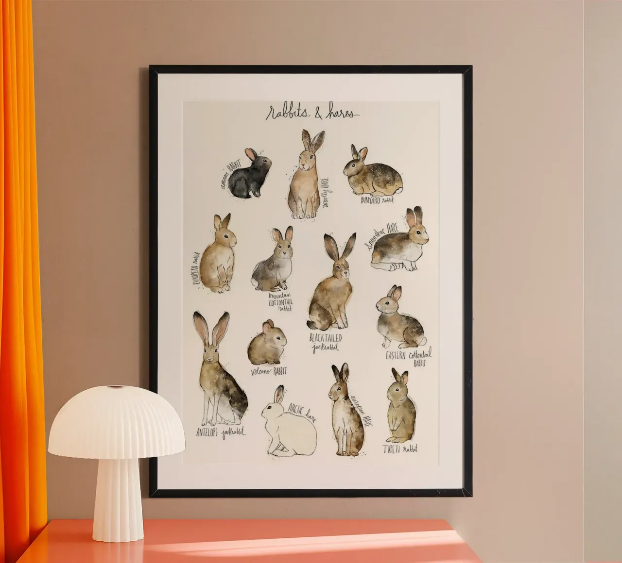 varie immagini di conigli di amy hamilton poster con telaio in alluminio da kbm store