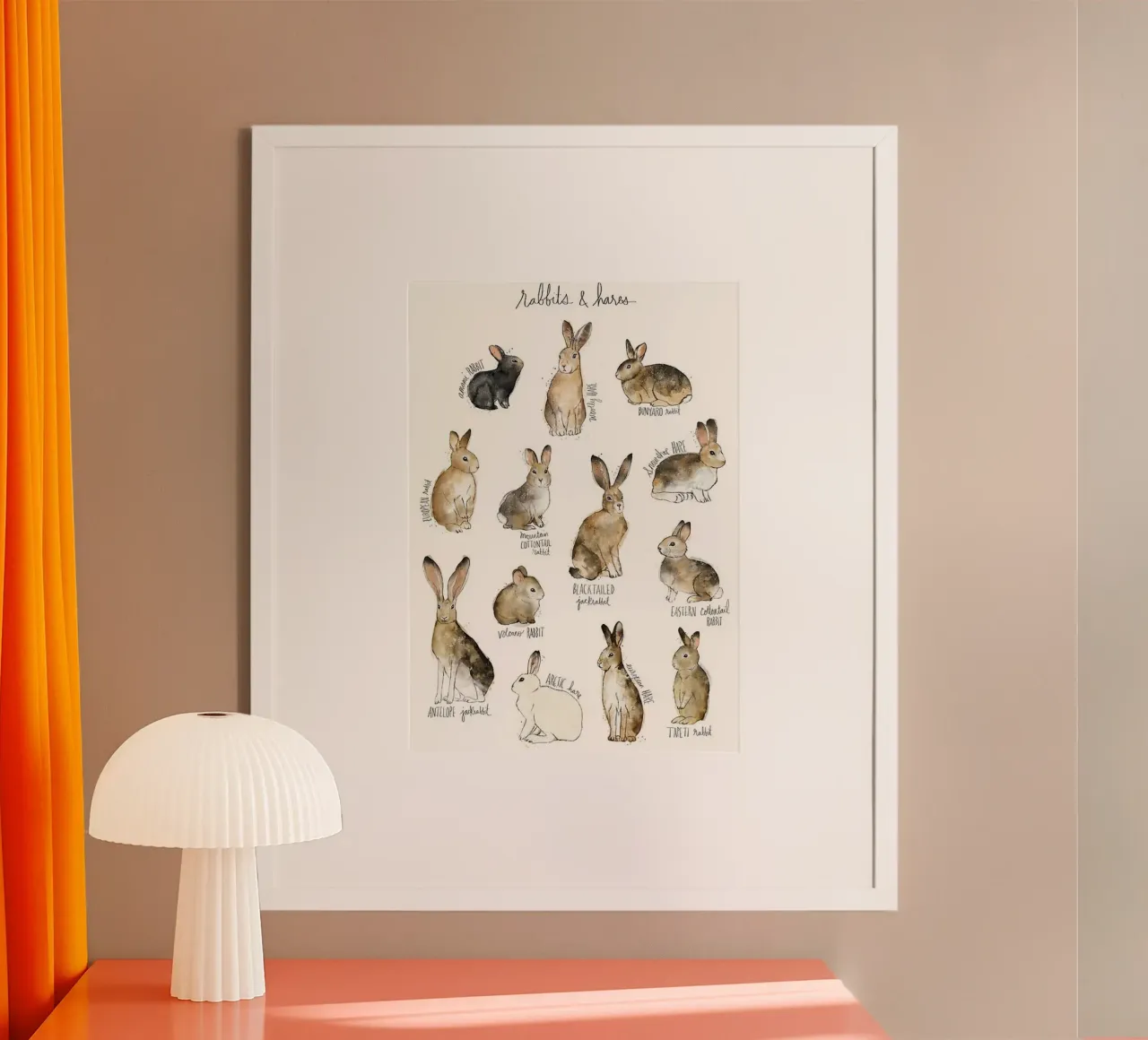 varie immagini di conigli di amy hamilton poster con telaio in alluminio da kbm store
