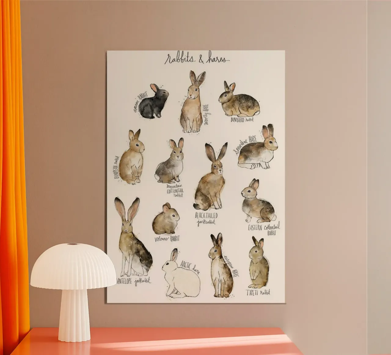 varie immagini di conigli di amy hamilton poster con telaio in alluminio da kbm store