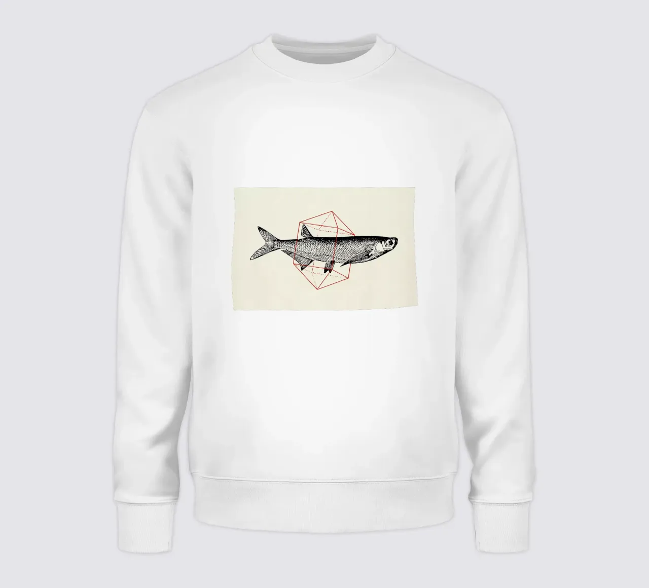 Fish in Geometrics II felpa da Florent Bodart