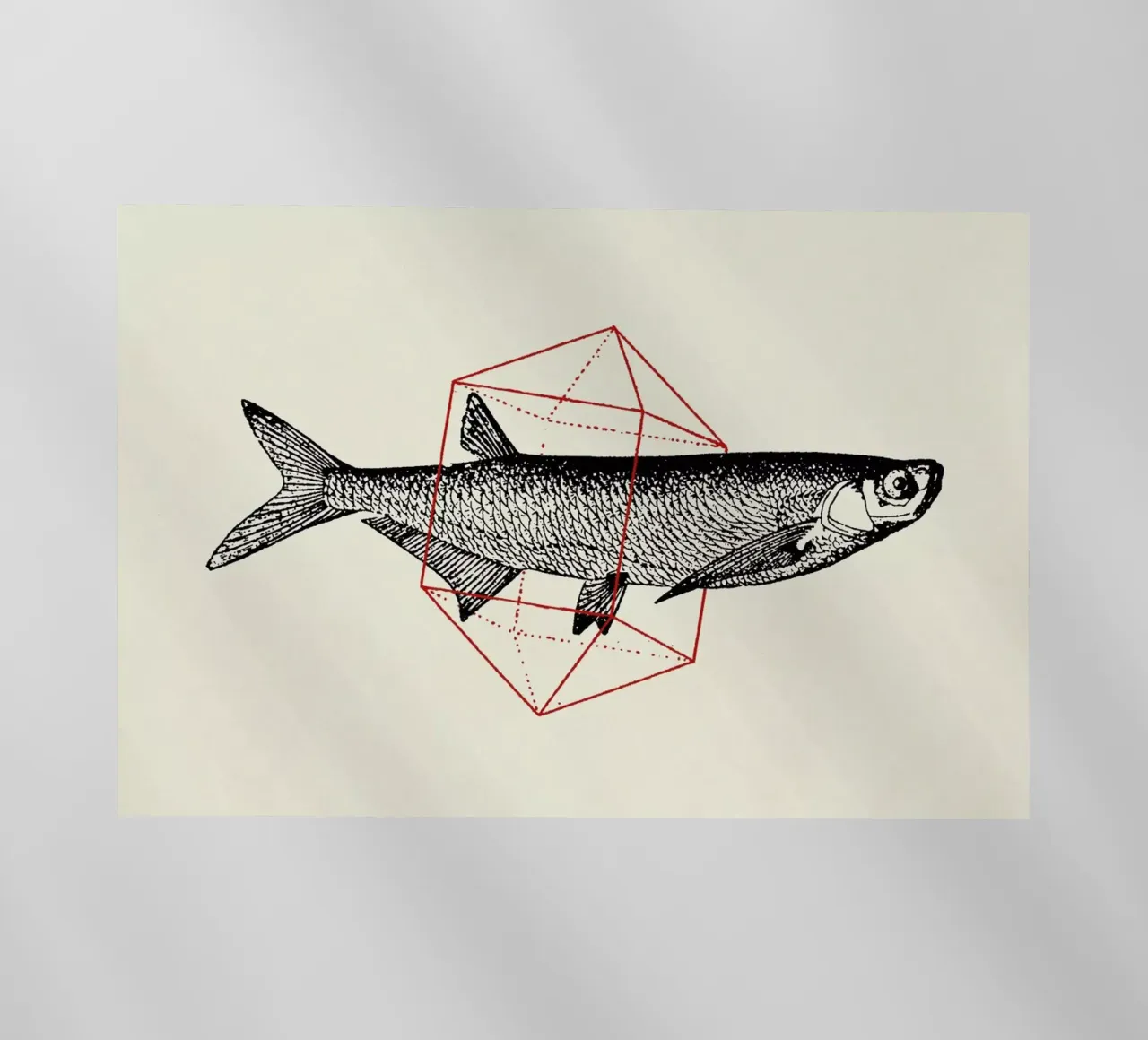 Fish in Geometrics II pellicola backlit da Florent Bodart