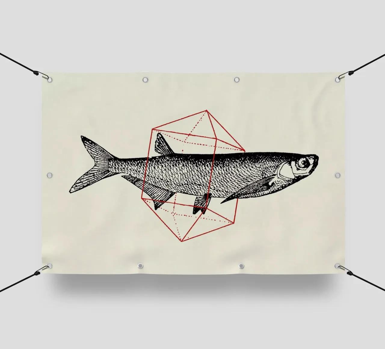 Fish in Geometrics II telo in pvc da Florent Bodart