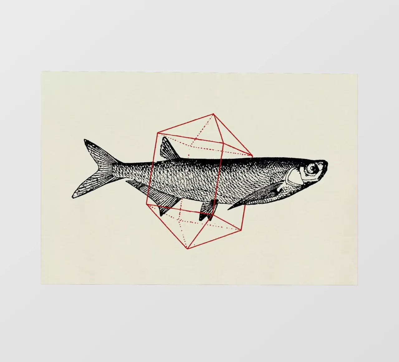 Fish in Geometrics II telo in pvc da Florent Bodart