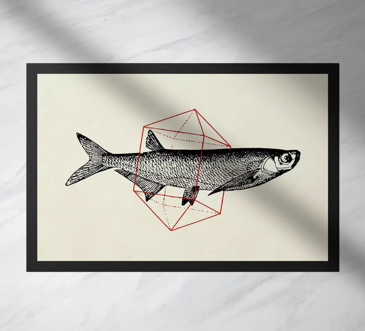 Fish in Geometrics II zerbino da Florent Bodart