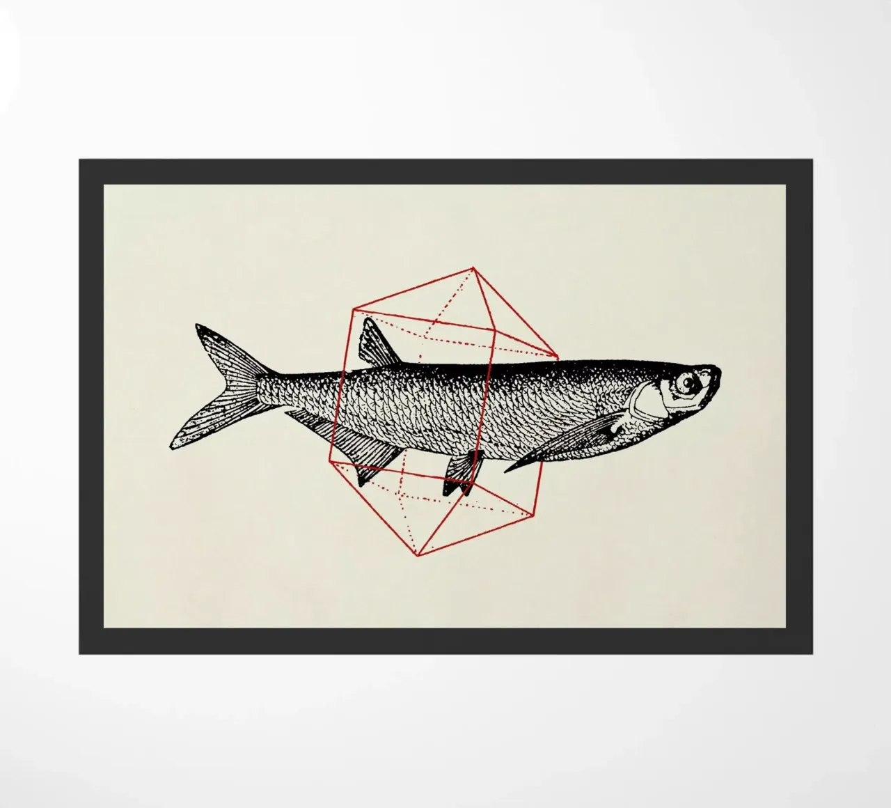 Fish in Geometrics II zerbino da Florent Bodart