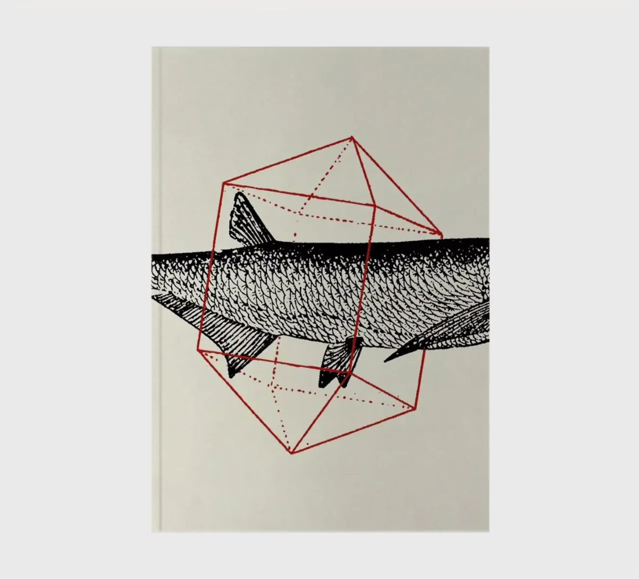Fish in Geometrics II notebook by Florent Bodart