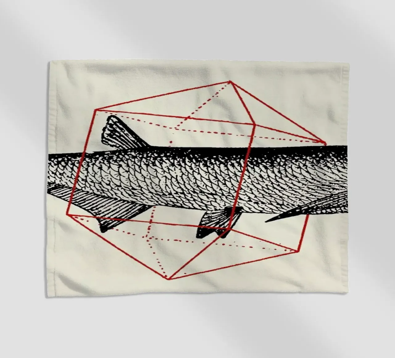 Fish in Geometrics II telo mare da Florent Bodart