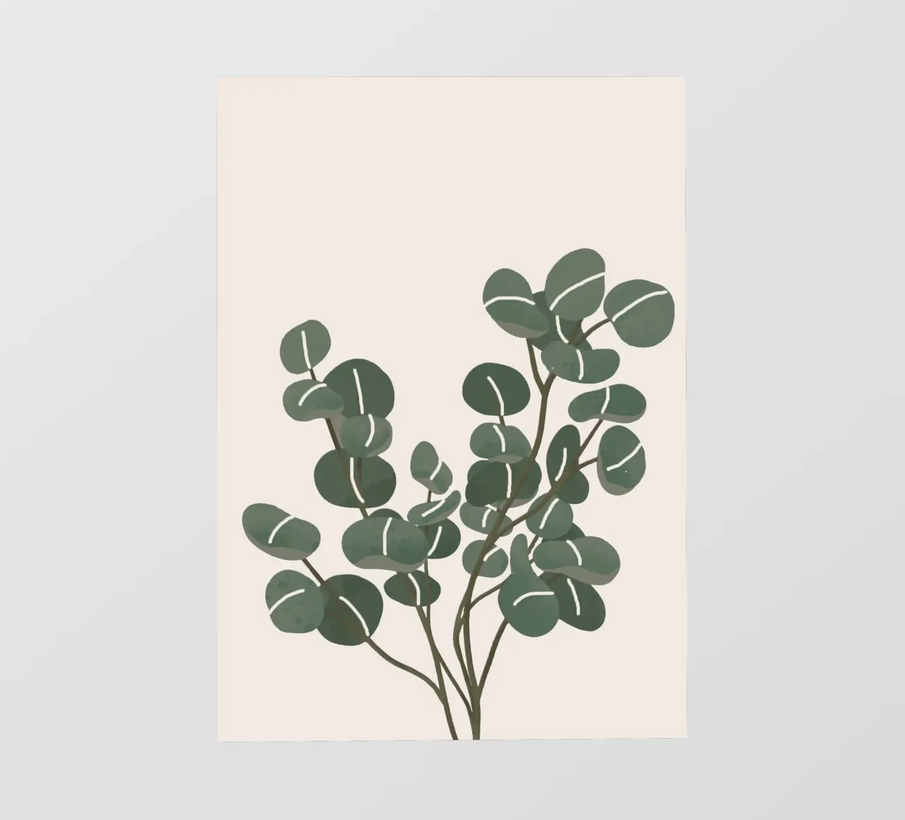Little Eucalyptus pellicola backlit da Flow Line
