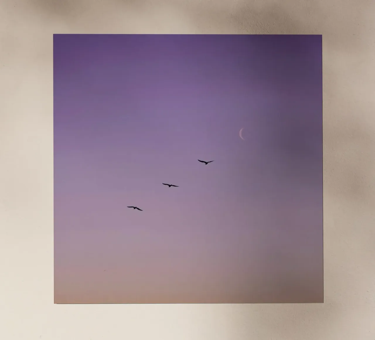 To The Moon And Back pellicola backlit da Rupert Höller